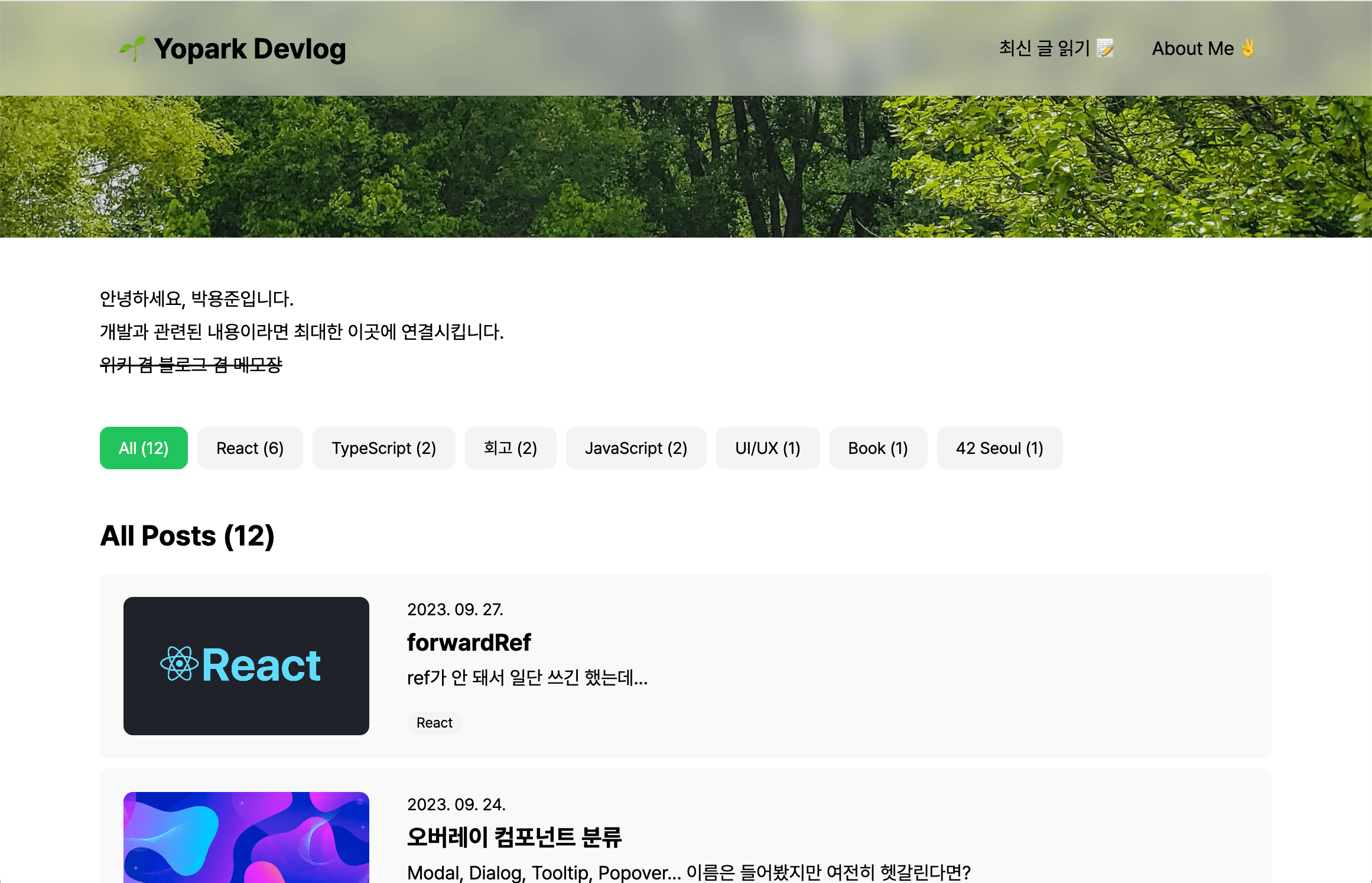 개인 개발 블로그